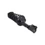 FCS Struts 1331060R Suspension Strut and Coil Spring Assembly