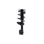 FCS Struts 1331370 Suspension Strut and Coil Spring Assembly