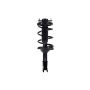 FCS Struts 1331370 Suspension Strut and Coil Spring Assembly