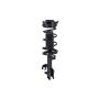 FCS Struts 1331520L Suspension Strut and Coil Spring Assembly