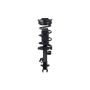 FCS Struts 1331520L Suspension Strut and Coil Spring Assembly