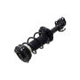 FCS Struts 1331520L Suspension Strut and Coil Spring Assembly