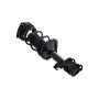 FCS Struts 1331520L Suspension Strut and Coil Spring Assembly