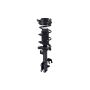 FCS Struts 1331520R Suspension Strut and Coil Spring Assembly