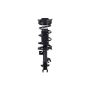 FCS Struts 1331520R Suspension Strut and Coil Spring Assembly