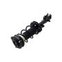 FCS Struts 1331520R Suspension Strut and Coil Spring Assembly