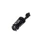 FCS Struts 1331573L Suspension Strut and Coil Spring Assembly