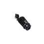 FCS Struts 1331573L Suspension Strut and Coil Spring Assembly