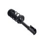 FCS Struts 1331578L Suspension Strut and Coil Spring Assembly