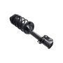 FCS Struts 1331578R Suspension Strut and Coil Spring Assembly