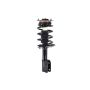 FCS Struts 1331581 Suspension Strut and Coil Spring Assembly
