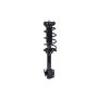 FCS Struts 1331583L Suspension Strut and Coil Spring Assembly