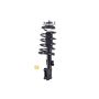 FCS Struts 1331587 Suspension Strut and Coil Spring Assembly