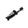 FCS Struts 1331590L Suspension Strut and Coil Spring Assembly