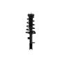 FCS Struts 1331590R Suspension Strut and Coil Spring Assembly