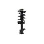 FCS Struts 1331591L Suspension Strut and Coil Spring Assembly
