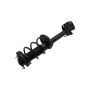 FCS Struts 1331592L Suspension Strut and Coil Spring Assembly