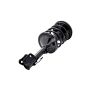 FCS Struts 1331595L Suspension Strut and Coil Spring Assembly