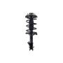 FCS Struts 1331596L Suspension Strut and Coil Spring Assembly