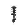 FCS Struts 1331596R Suspension Strut and Coil Spring Assembly