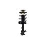 FCS Struts 1331597L Suspension Strut and Coil Spring Assembly
