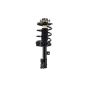 FCS Struts 1331597R Suspension Strut and Coil Spring Assembly