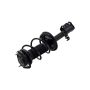 FCS Struts 1331601L Suspension Strut and Coil Spring Assembly