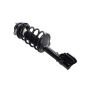 FCS Struts 1331603L Suspension Strut and Coil Spring Assembly