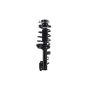 FCS Struts 1331603R Suspension Strut and Coil Spring Assembly