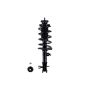 FCS Struts 1331605L Suspension Strut and Coil Spring Assembly