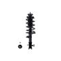 FCS Struts 1331605R Suspension Strut and Coil Spring Assembly
