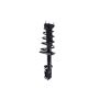 FCS Struts 1331607L Suspension Strut and Coil Spring Assembly