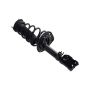 FCS Struts 1331607L Suspension Strut and Coil Spring Assembly