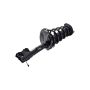 FCS Struts 1331612L Suspension Strut and Coil Spring Assembly