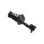 FCS Struts 1331612L Suspension Strut and Coil Spring Assembly