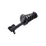 FCS Struts 1331612R Suspension Strut and Coil Spring Assembly