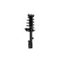 FCS Struts 1331613R Suspension Strut and Coil Spring Assembly