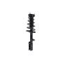 FCS Struts 1331614L Suspension Strut and Coil Spring Assembly