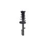 FCS Struts 1331614R Suspension Strut and Coil Spring Assembly