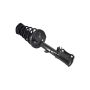 FCS Struts 1331614R Suspension Strut and Coil Spring Assembly