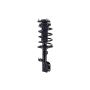 FCS Struts 1331617L Suspension Strut and Coil Spring Assembly