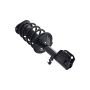 FCS Struts 1331617L Suspension Strut and Coil Spring Assembly