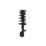 FCS Struts 1331617R Suspension Strut and Coil Spring Assembly