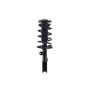 FCS Struts 1331617R Suspension Strut and Coil Spring Assembly