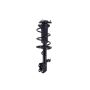 FCS Struts 1331620R Suspension Strut and Coil Spring Assembly