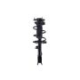 FCS Struts 1331620R Suspension Strut and Coil Spring Assembly