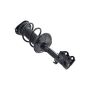 FCS Struts 1331620R Suspension Strut and Coil Spring Assembly