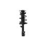 FCS Struts 1331621L Suspension Strut and Coil Spring Assembly