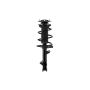 FCS Struts 1331621L Suspension Strut and Coil Spring Assembly
