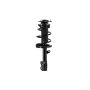 FCS Struts 1331621R Suspension Strut and Coil Spring Assembly